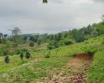 thumbnail-tanah-cijeruk-tajurhalang-bogor-shm-4