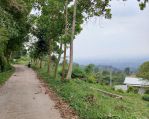 thumbnail-tanah-cijeruk-tajurhalang-bogor-shm-5